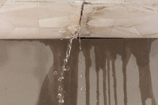 Professional Flood Damage Cleanup technician working in Bozrah, CT